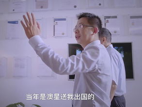 上海分公司因私出入境中介服務 打造全球化服務新標桿